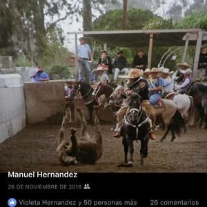 Meet your Posher, Manuel